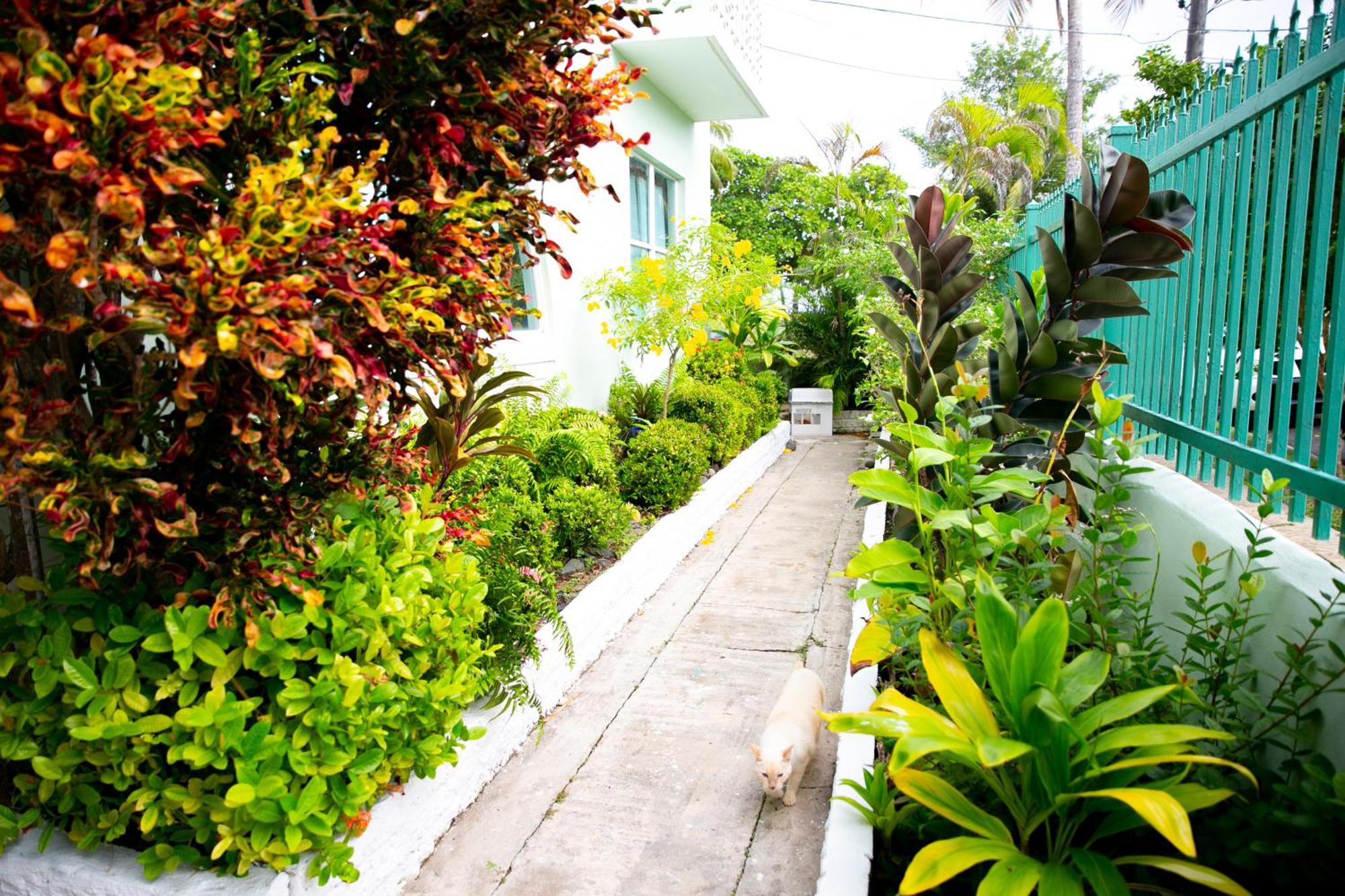 Numero Uno Beach Apartments San Juan Eksteriør bilde